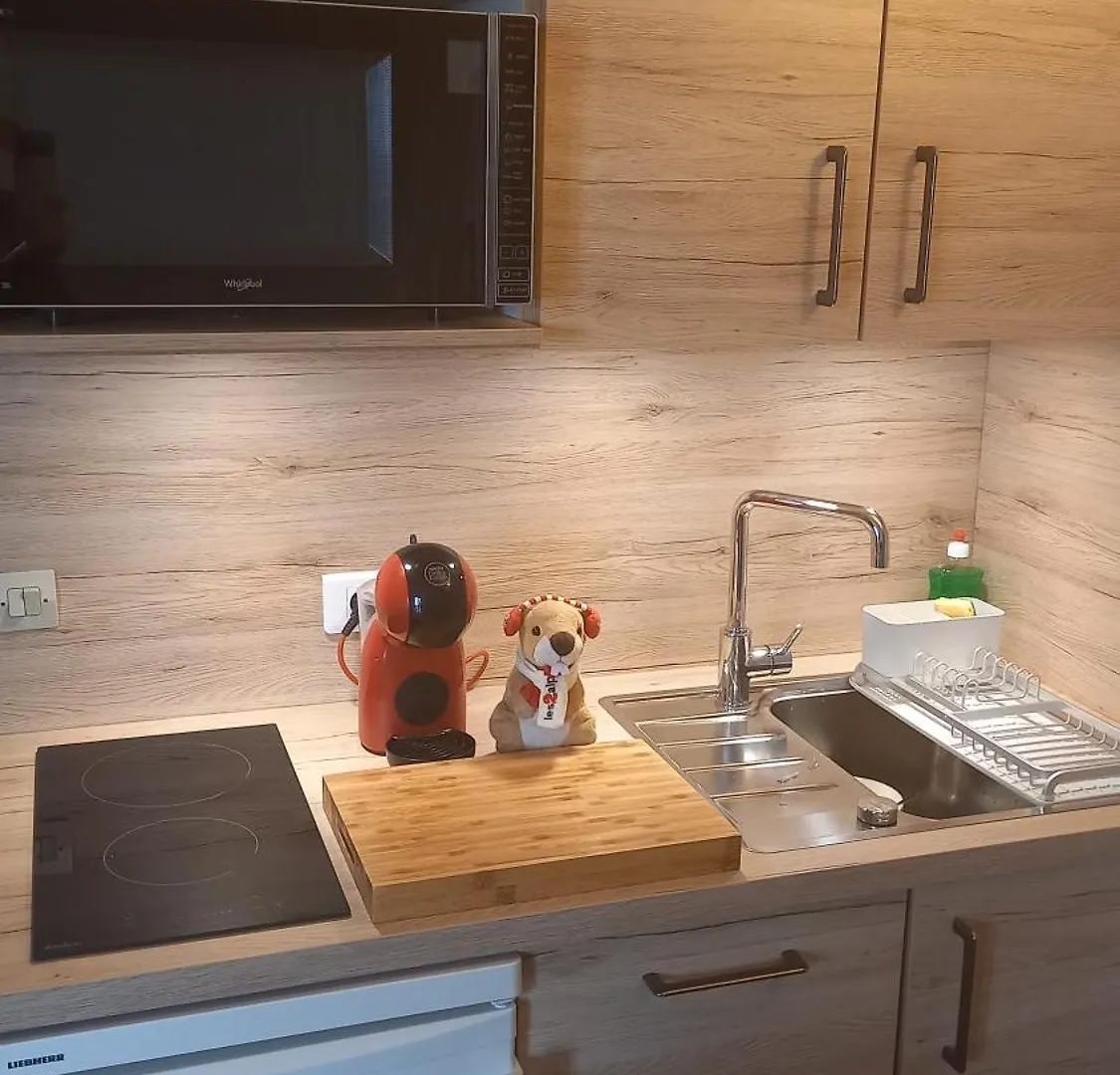 Studio 4 Personnes - 19M2 Plus Terrasse- Le Pluton Les Deux Alpes Apartmán